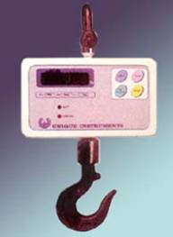 CRANE SCALE 
